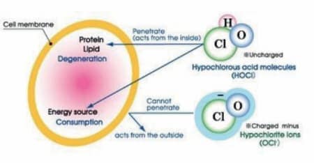 Hypochlorigesaure