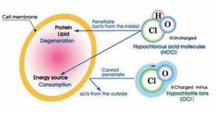Hypochlorigesaure
