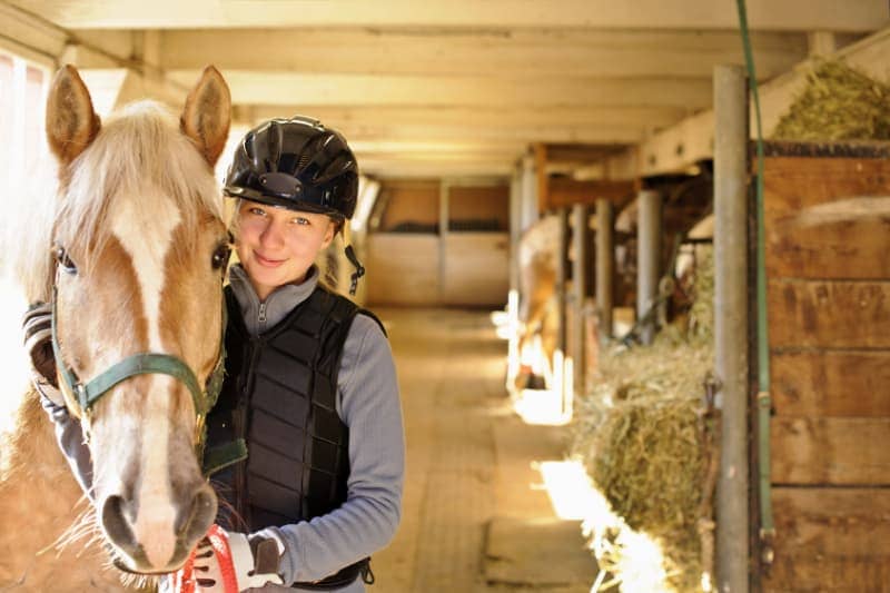 Ökopur Desinfektion Horse Trensen und Geschirre