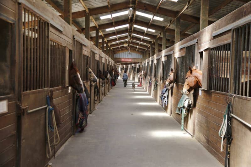 Ökopur Horse Zubehör im Stall
