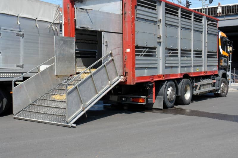 Ökopur LKW - LKW Anhänger