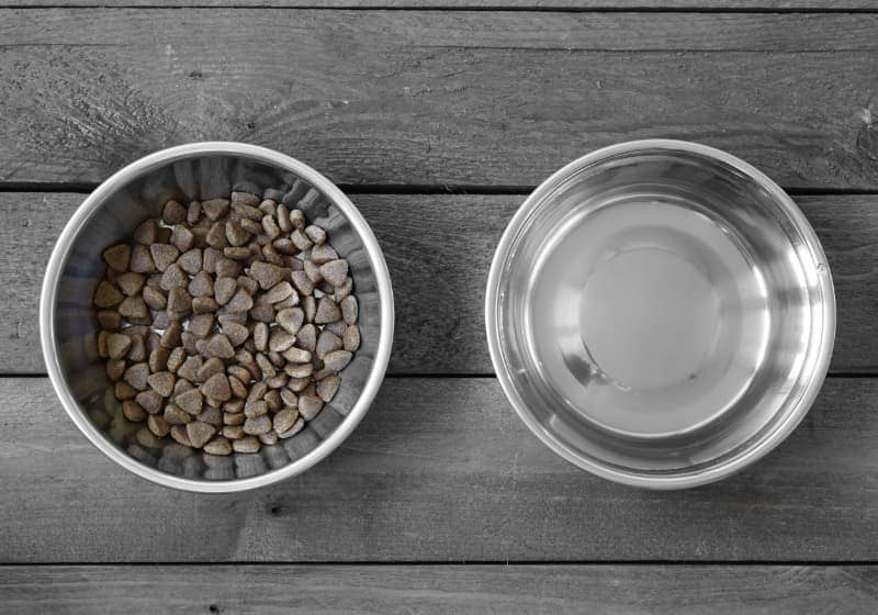 Ökopur animal - pets Wasser- und Futternäpfe